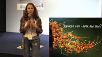 Дарья Шубина на Форуме "Молодежное интернет-предпринимательство" 23.05.16