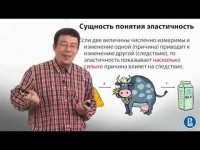 Эластичность спроса
