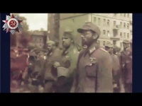 Пленные немцы в Москве - поведение